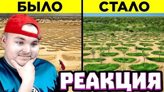 Моя Реакция на новый ролик WTFakt -Сахару Превращают В Зелёный Оазис!