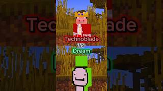 Technoblade VS Dream