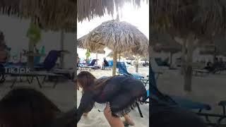 #shorts #porno hub
