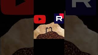 Где смотрешь видосы? В YouTube или RUTUBE? 🤔 #shorts #tiktok #youtube