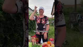 Они нашли друг друга💃😁😂 #смех #юмор #вайны #семья #свекровьневестка