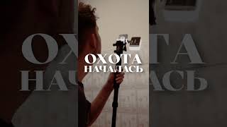 Мой новый сосед – Паук охотник