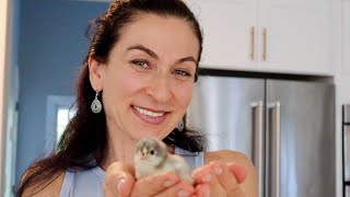 У Нас Родились Прекрасные Цыплята 🐥 | Маленький Рум Тур | Распаковка Товаров Из Амазона | Эгине