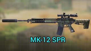 Chuyển đổi vũ khí MK-12 SPR | Call Of Duty Mobile