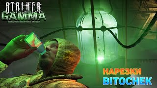 Bitochek Хайлайт по STALKER GAMMA | Дон Симон терпит в лабе