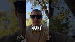 Исключений нет ✌️😁 #шуткирадизабавыдля