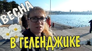 VLOG 441 Геленджик LIFE В Геленджик пришла весна