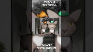 ЕСЛИ БЫ КОТИКИ ХОДИЛИ В ШКОЛУ - ДИСТАНЦИОНКА, но это 3D #shorts #прикол