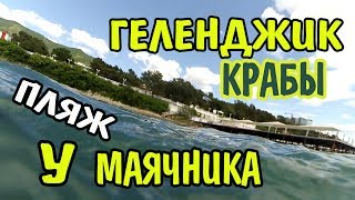 VLOG 311 Геленджик LIFE Дикий пляж у Маячника  Мидии по геленджикски