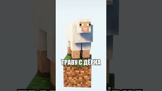 ТЫ НЕ ЗНАЛ ЭТОГО ОБ ОВЦАХ в МАЙНКРАФТ 1.20! #майнкрафт #minecraft #shorts