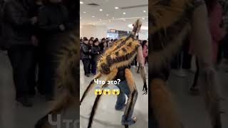 😱😱😱что это? #ужасы #shorts