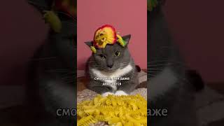 ЕСЛИ БЫ КОТИКИ ХОДИЛИ В ШКОЛУ - КОСТЮМЫ НА ХЭЛЛОУИН