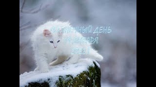 СОЛНЕЧНЫЙ ДЕНЬ СЕГОДНЯ, 19 ЯНВАРЯ 2022 Г