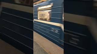 Метро Дунайская в Санкт-Петербурге