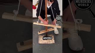 🔥 Огненное чудо внутри дерева! Никто не верил, пока не увидел