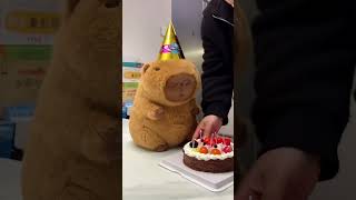 Happy Birthday~🍰 #cute #capybara #funnyanimals #healing