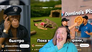 ТикТок и Шортc - ПРЕМИЯ ДАРВИНА - новая пачка историй! (РЕАКЦИЯ) | ТипоТоп