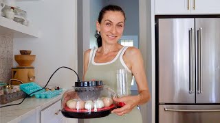 Начинаем Проект Инкубатора 🐣 | Сладкое Кофепитие 🍫☕️ | Муж Против Парника 🥲 | Эгине | Heghineh