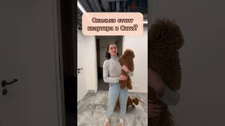 Сколько стоит аренда квартиры в Москва Сити? | Жизнь в Москве #москва #москвасити