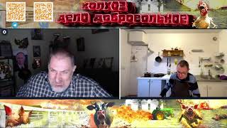 Паляныця и другие приключения Бременских музыкантов